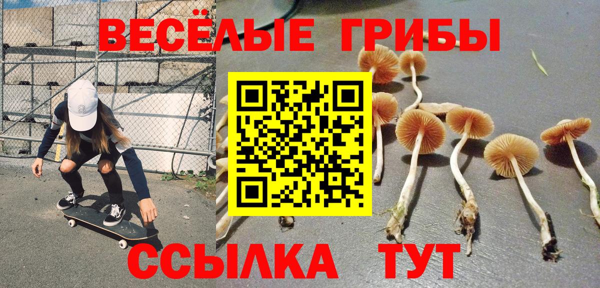 Нарткала  Псилоцибиновые грибы Psilocybine cubensis  Вход с VPN 