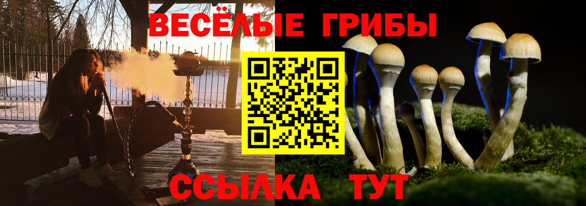 Псилоцибиновые грибы прущие грибы Нарткала